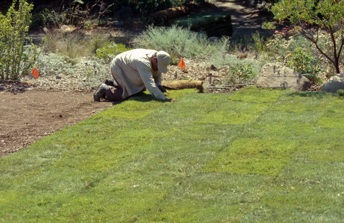 Installing the new Meadow lawn