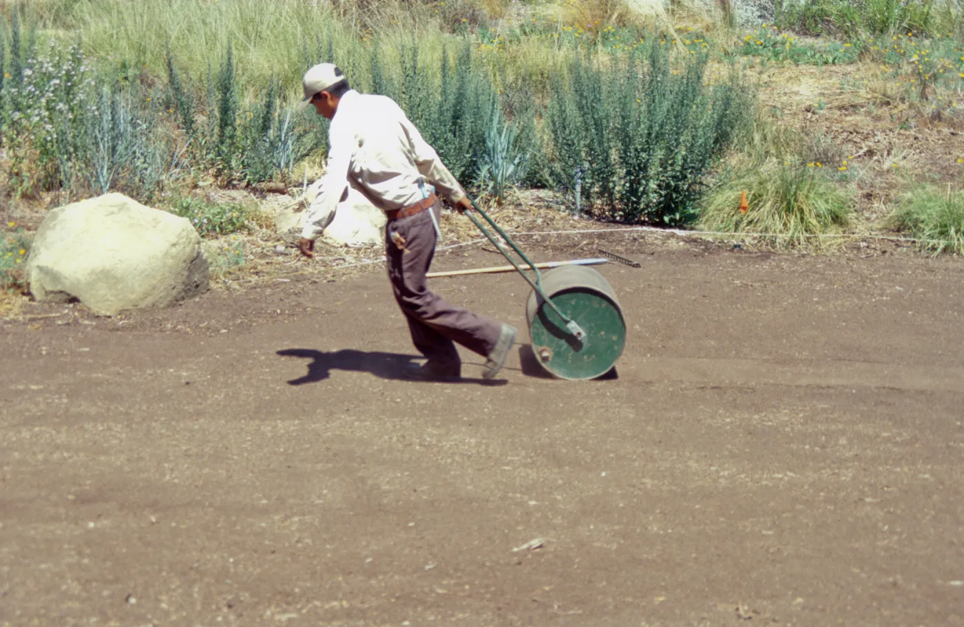 Preparing for the new Meadow Lawn installation