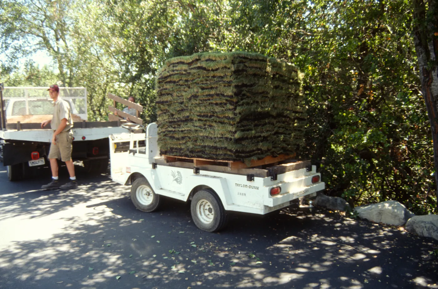 sod for the new Meadow lawn Installation