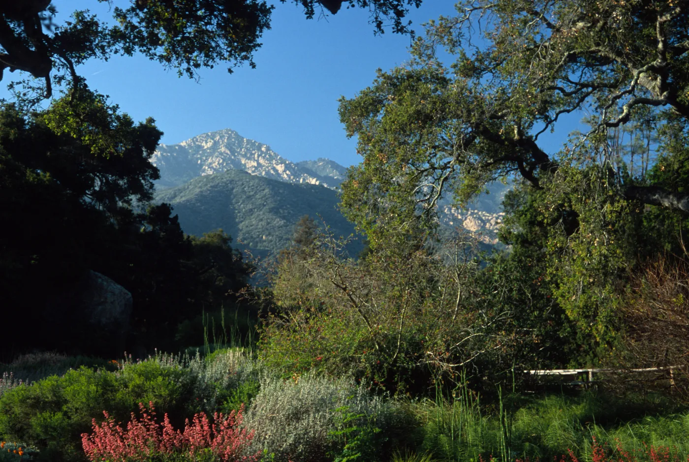 mountain view from the entrance oak, at the foot of the Meadow