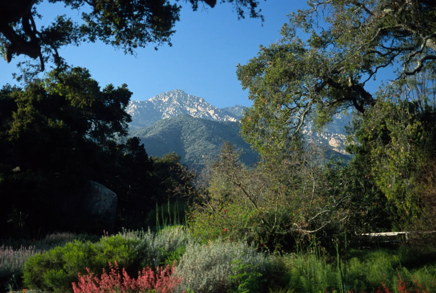 mountain view from the entrance oak, at the foot of the Meadow