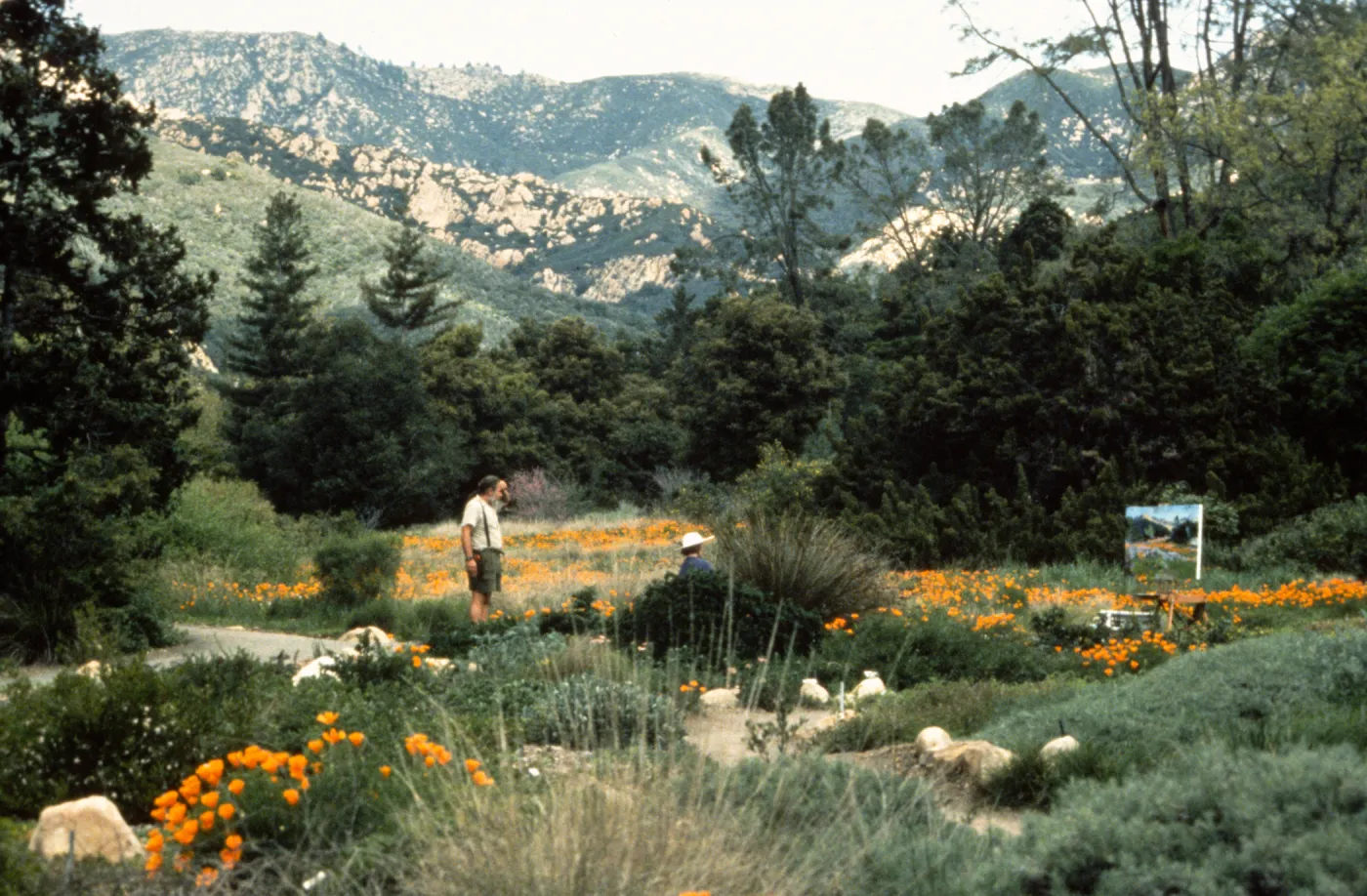 Painting in Meadow