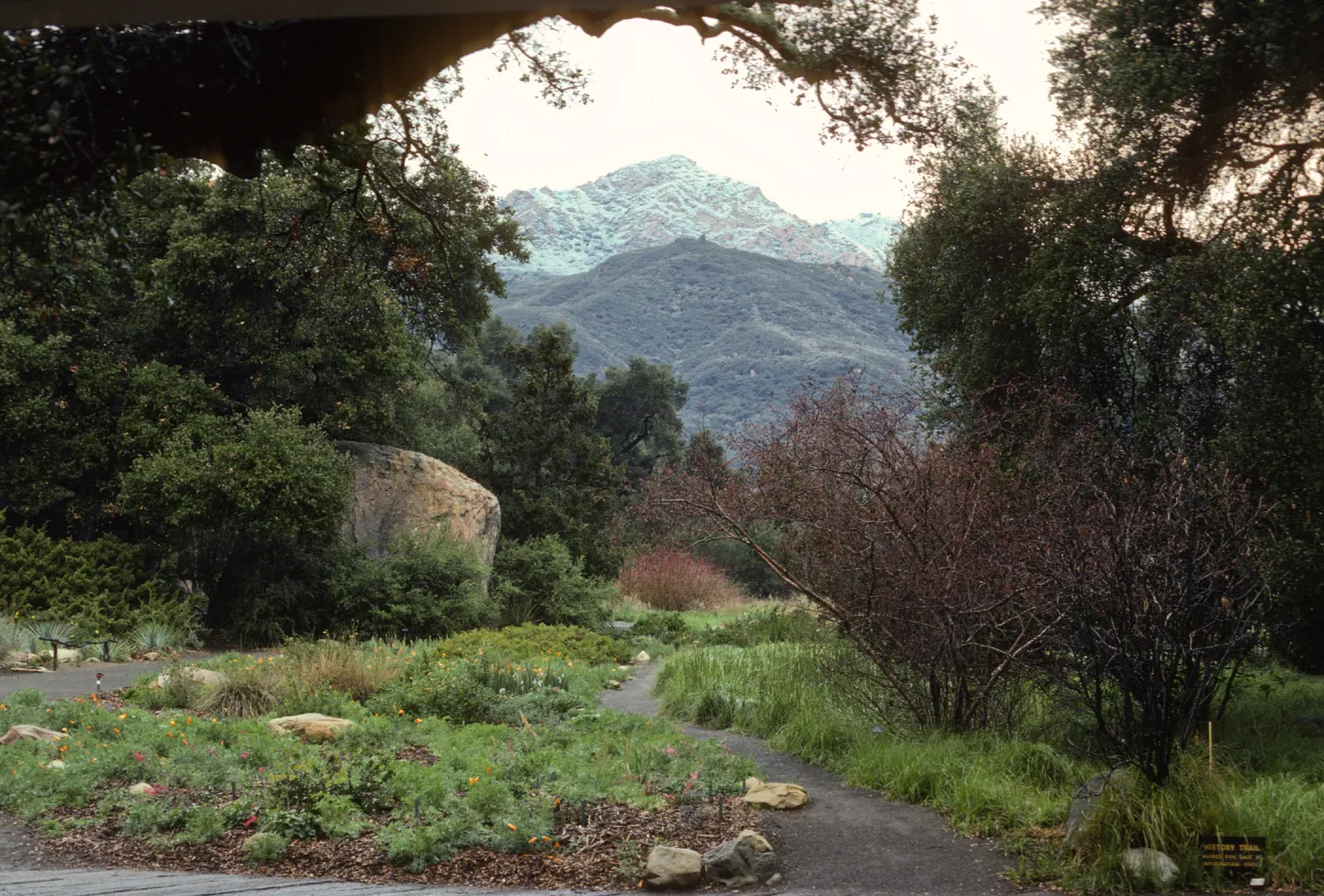 Meadow, snow on La Cumbre Peak