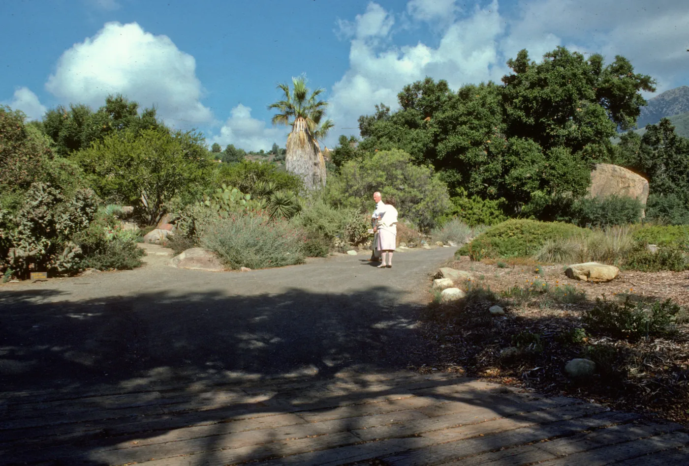 visitors at the Desert Section and base of Meadow, looking northwest