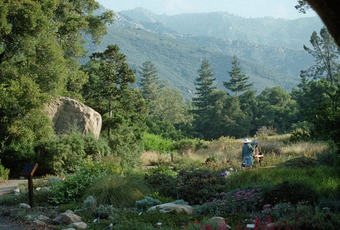 artist painting in the Meadow