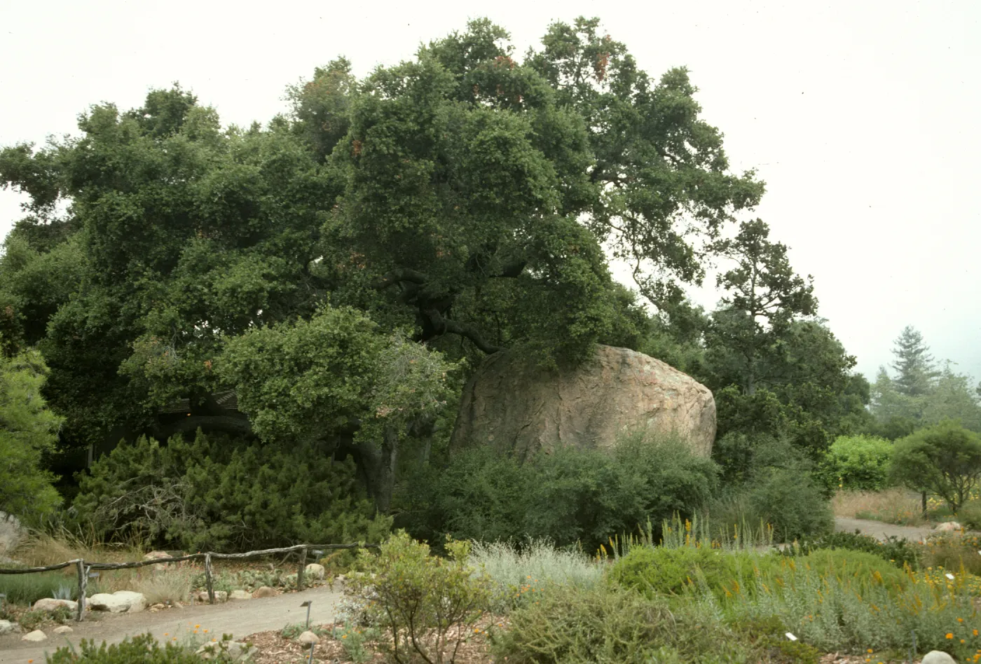 Blaksley Boulder