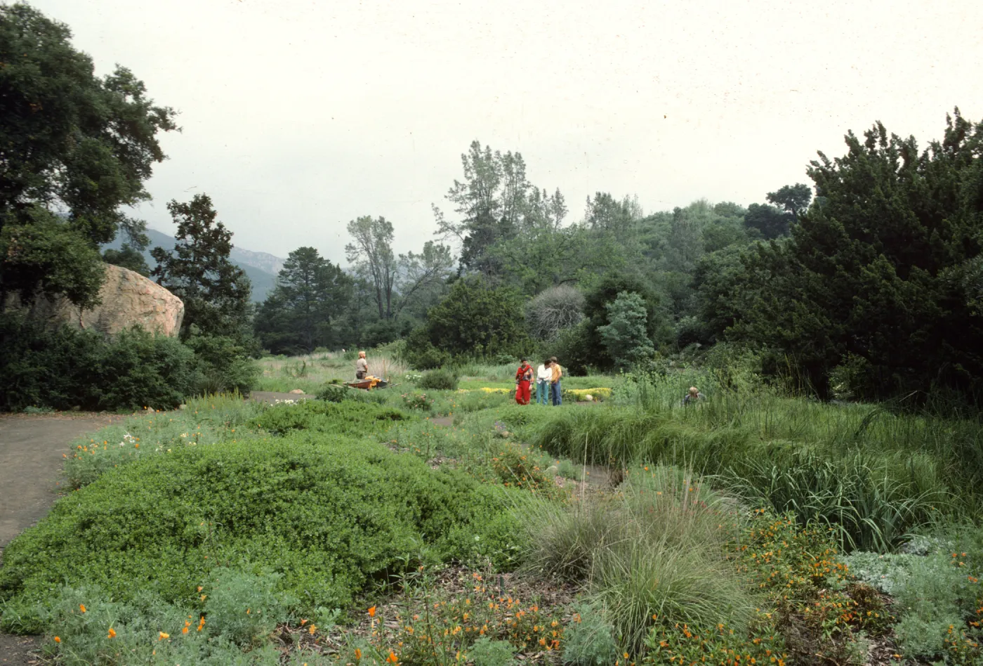 lower Meadow with visitors