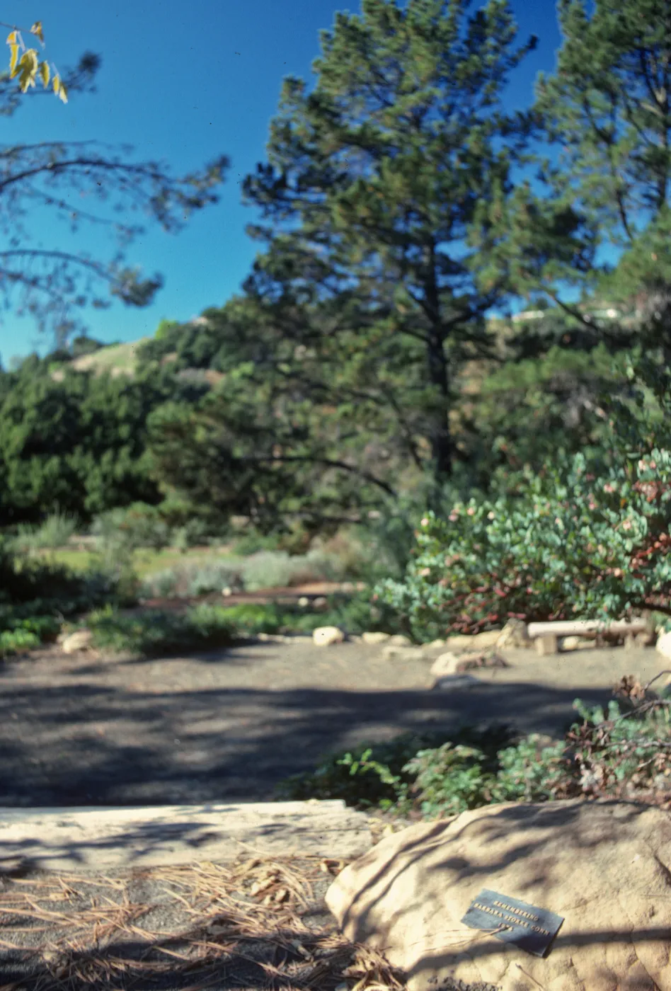 Conn Garden, Meadow View