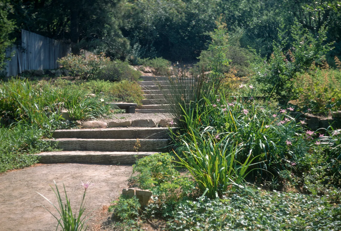 Conn Garden Memorial, Meadow View steps