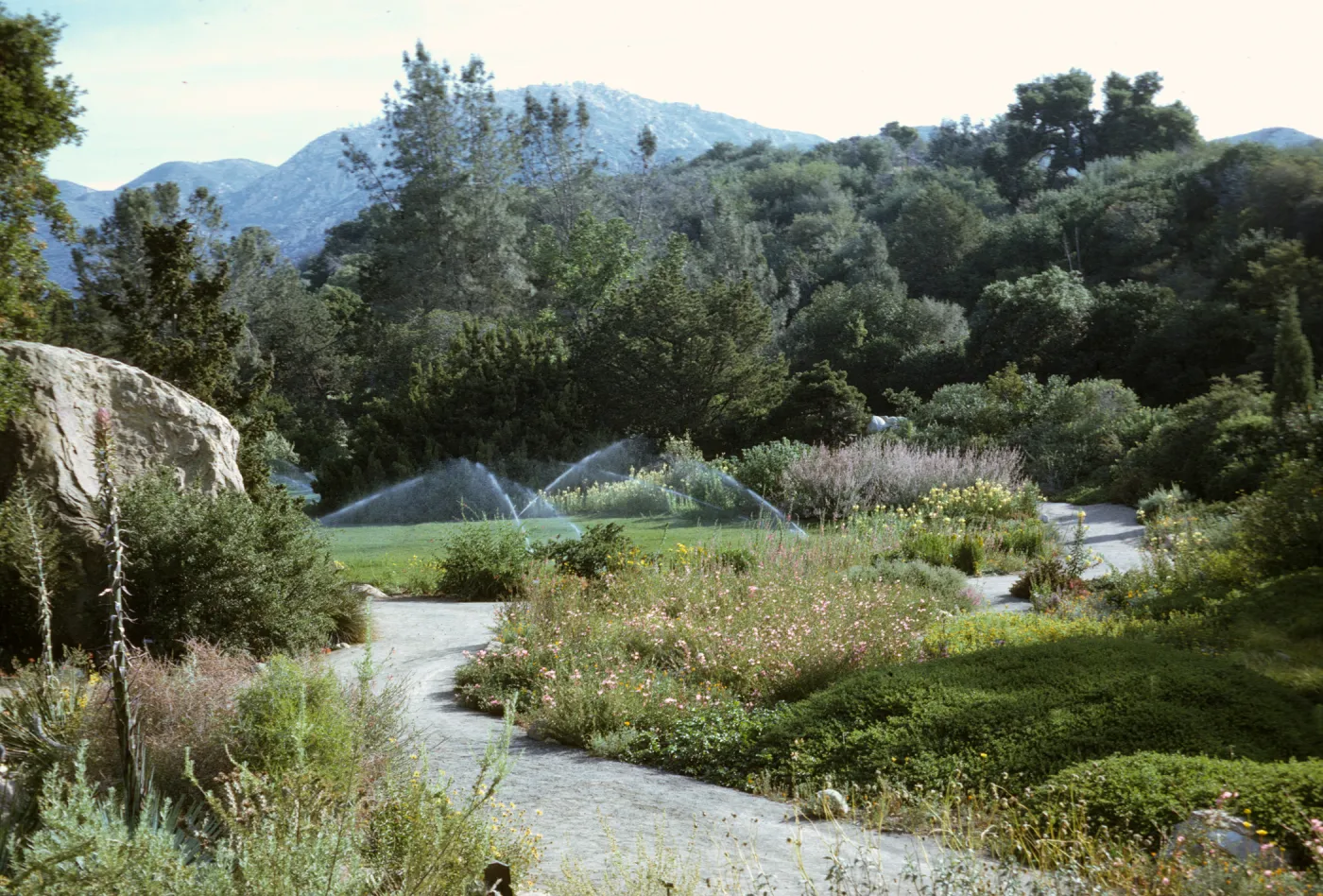 Meadow with overhead sprinklers, view to northeast from the Desert Section