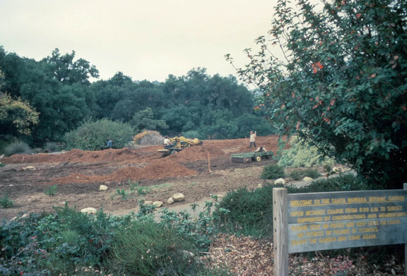 Meadow Renovation, 1979