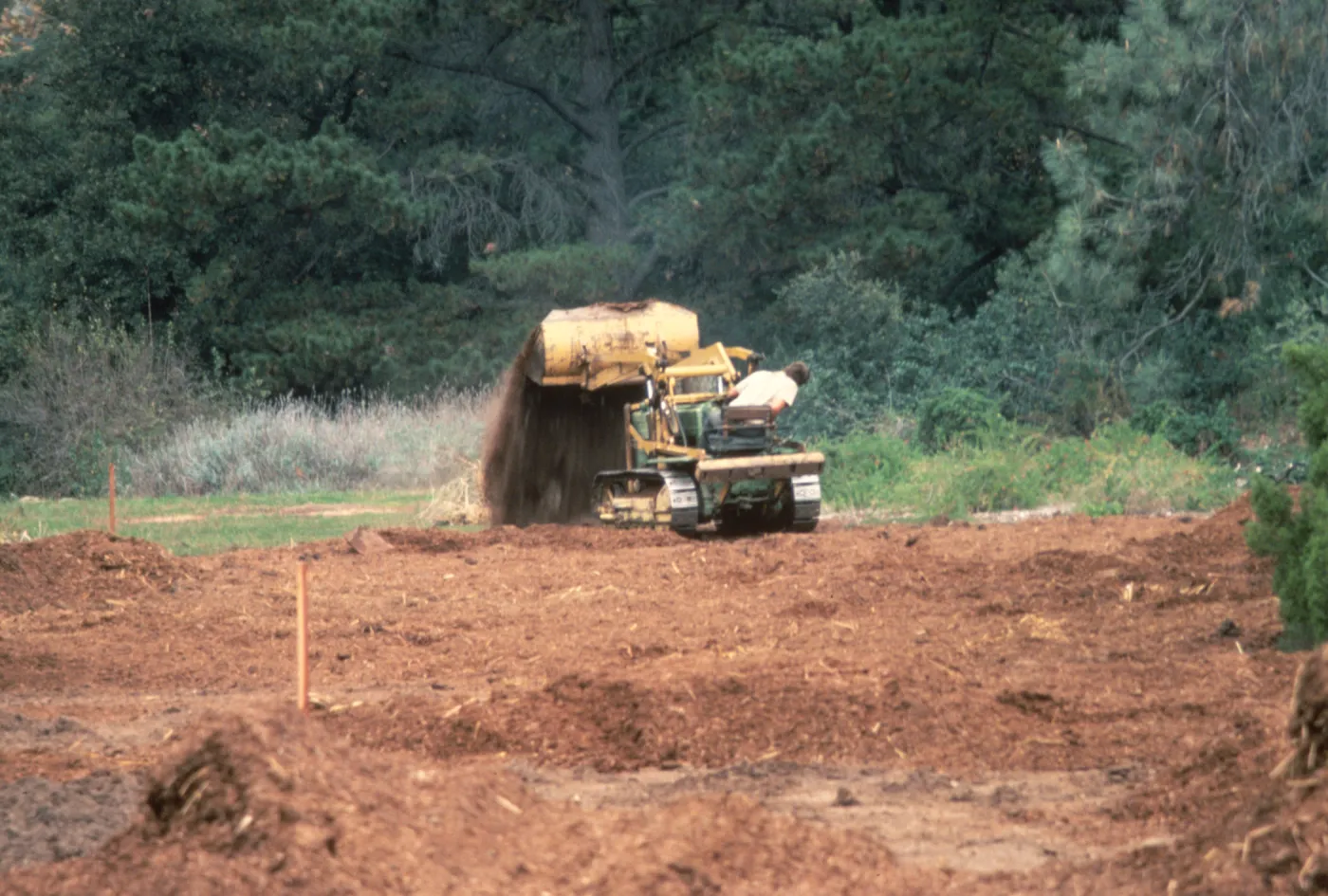 Meadow Renovation, 1979, laying mulch layer with tractor