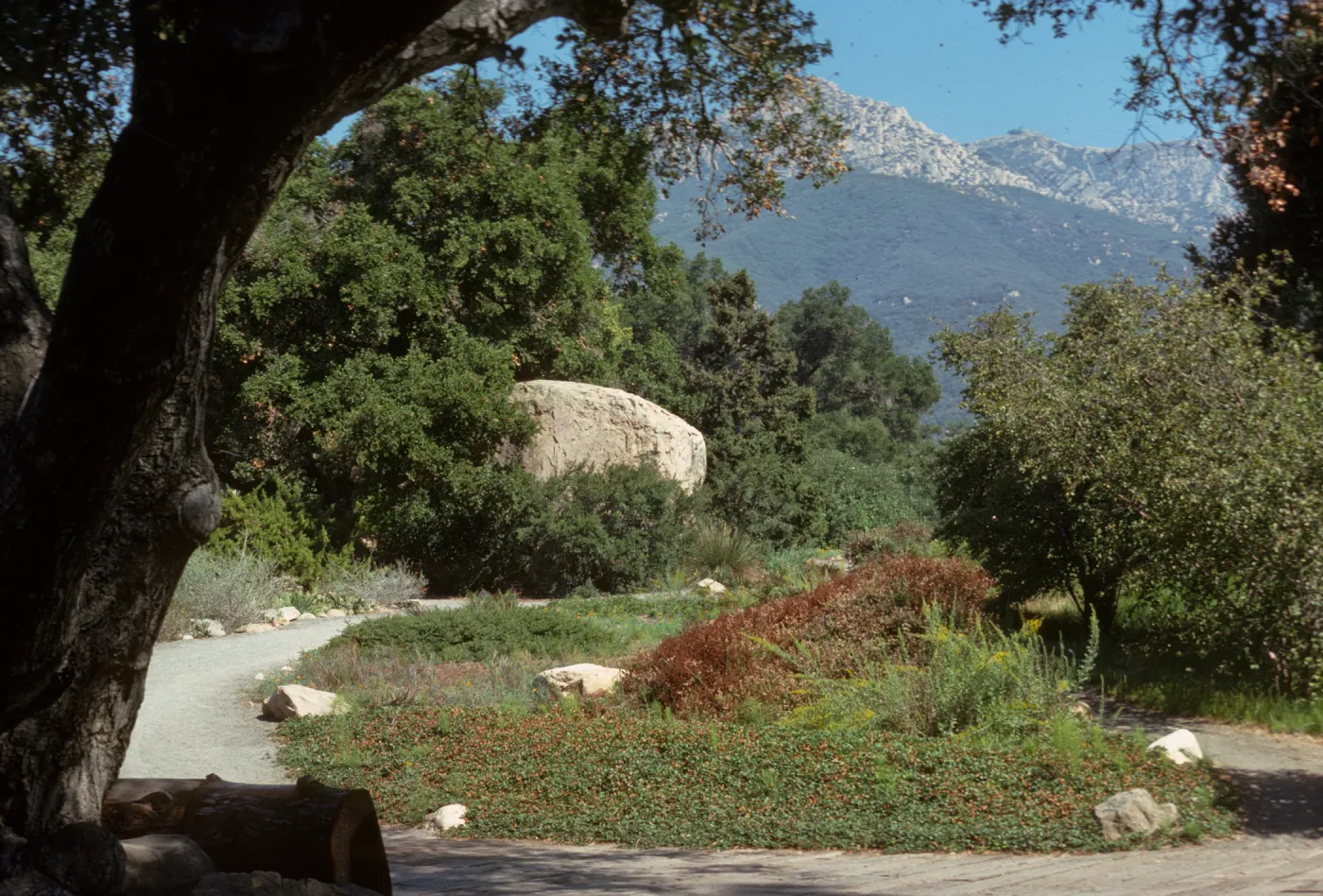 Meadow view from entrance oak