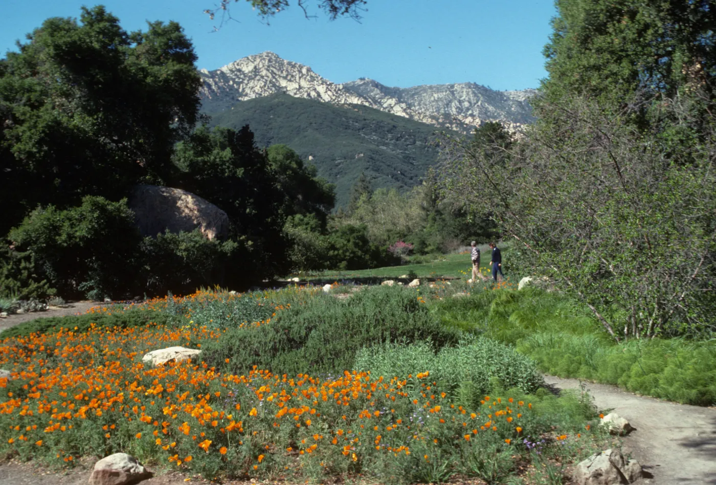 lower Meadow, looking north to La Cumbre Peak