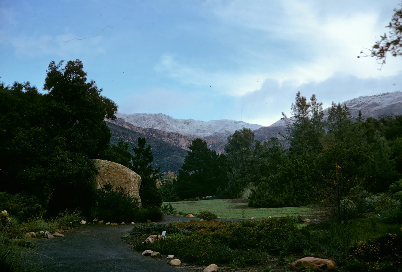 Meadow with snow on Santa Ynez mountains