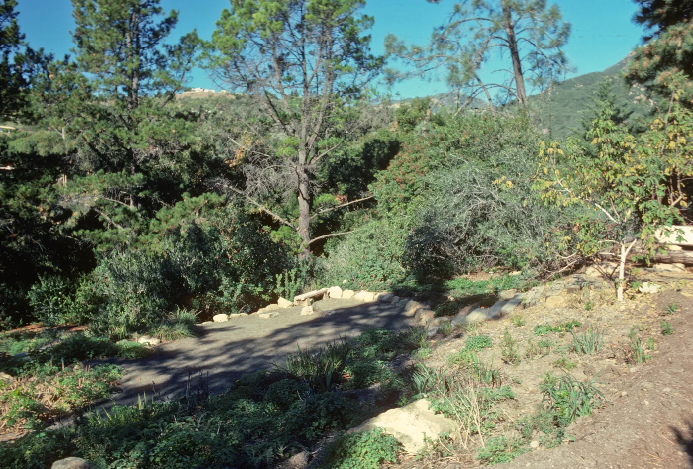Conn Garden at top of Meadow