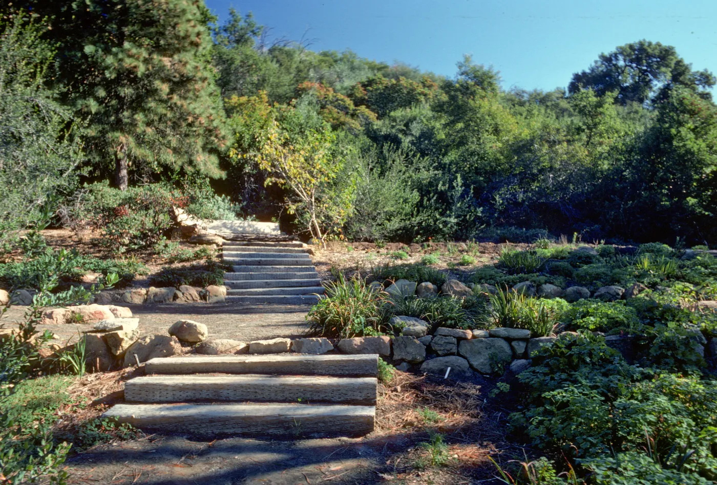 Conn Garden