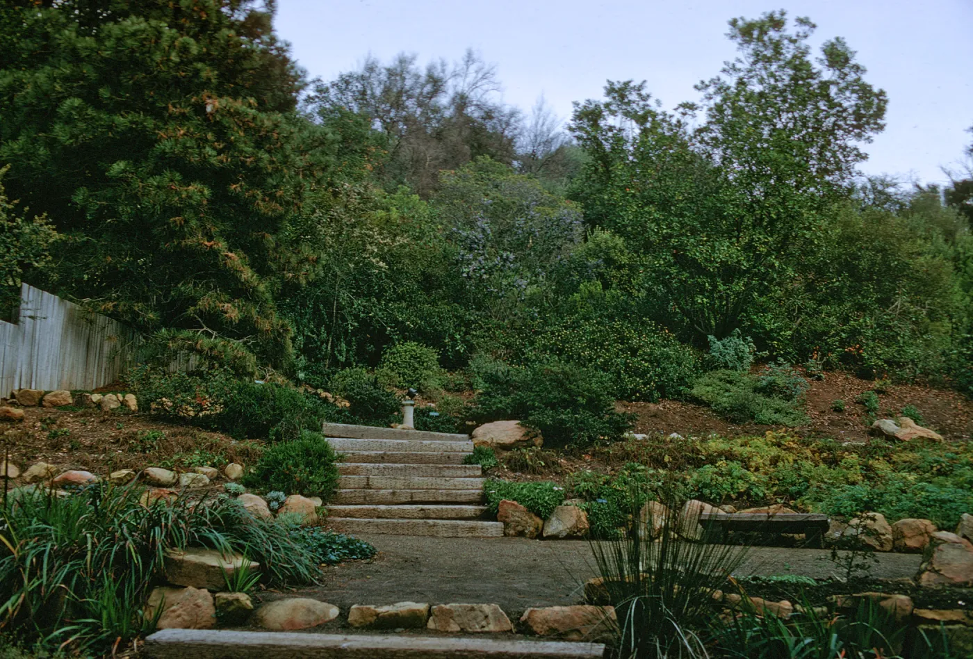 Historic Home Garden, Upper Meadow, Meadow View