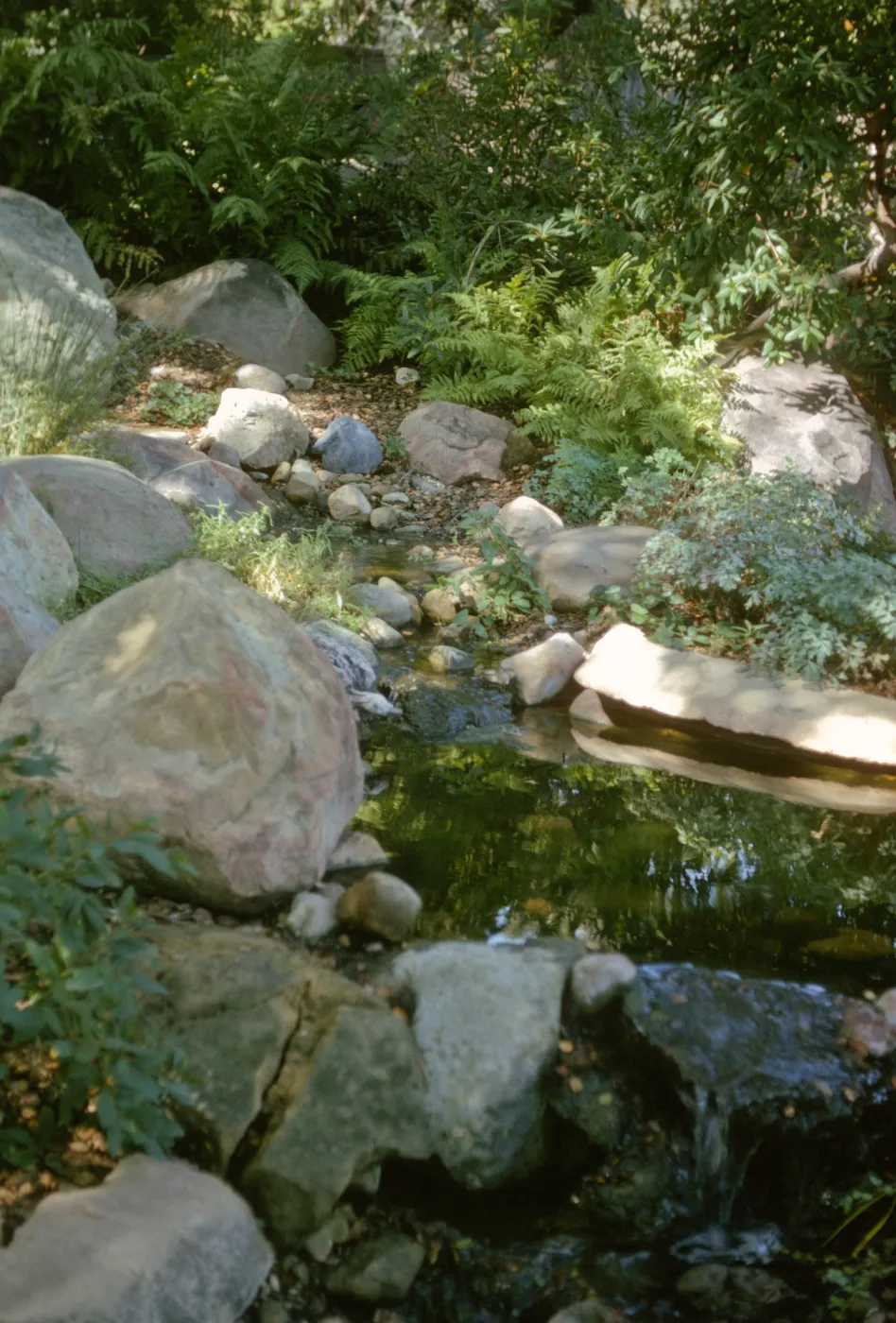 Bullard Brook