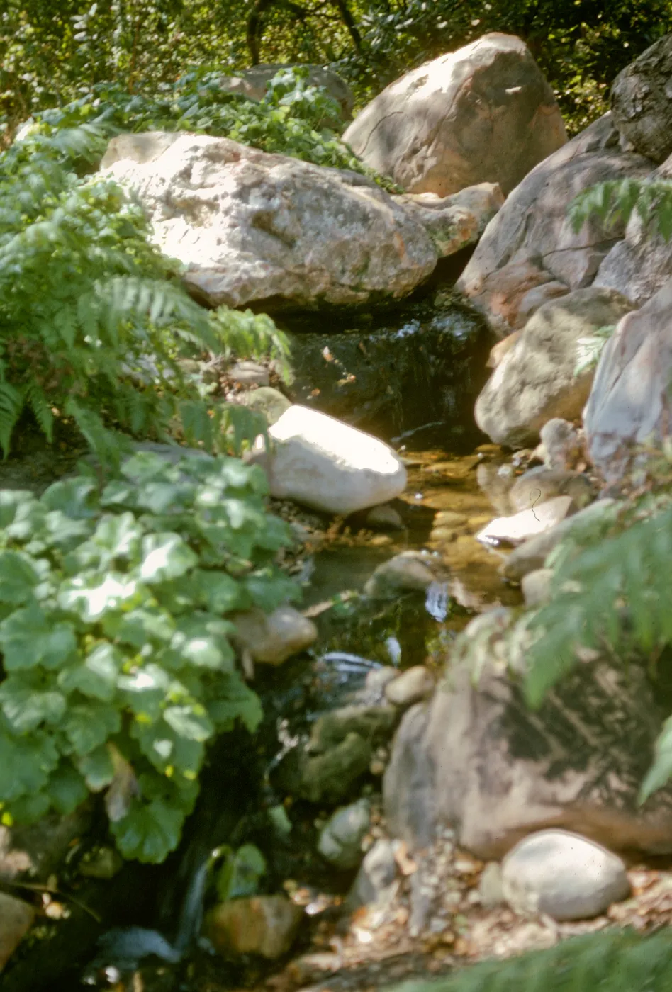 Bullard Brook