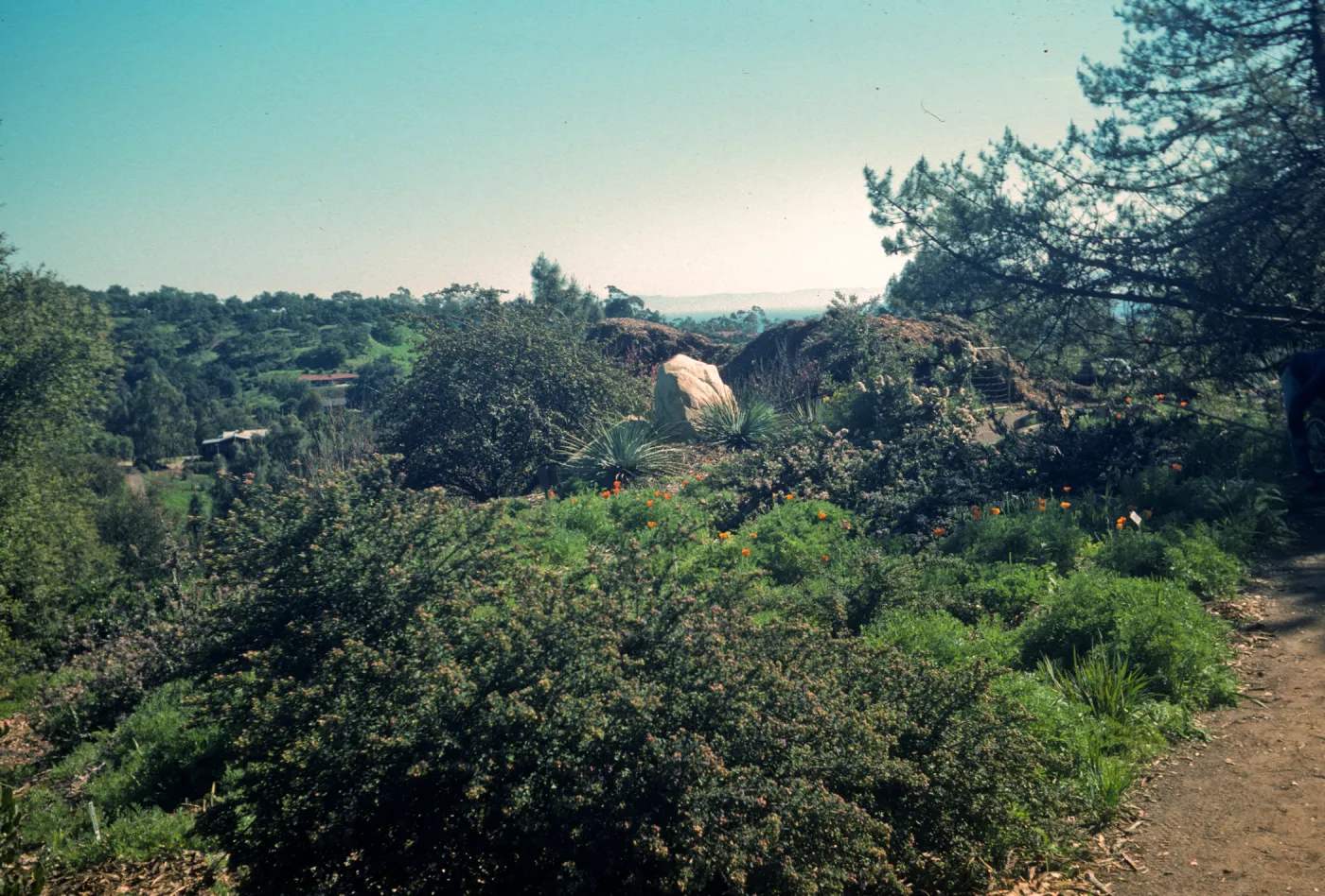 Porter Trail looking south