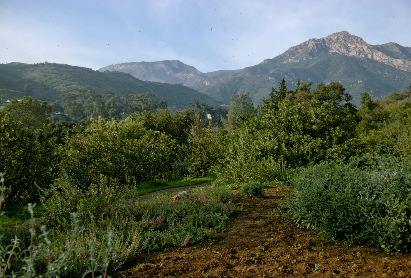 Mountains from Porter Trail