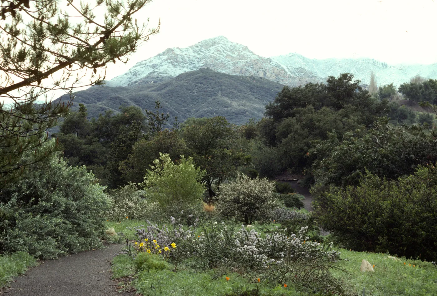 Snow on Mountains from Porter Trail