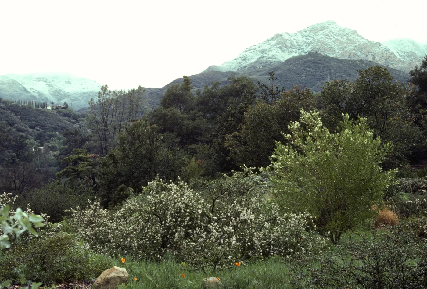 Snow on the Mountains from Porter Trail