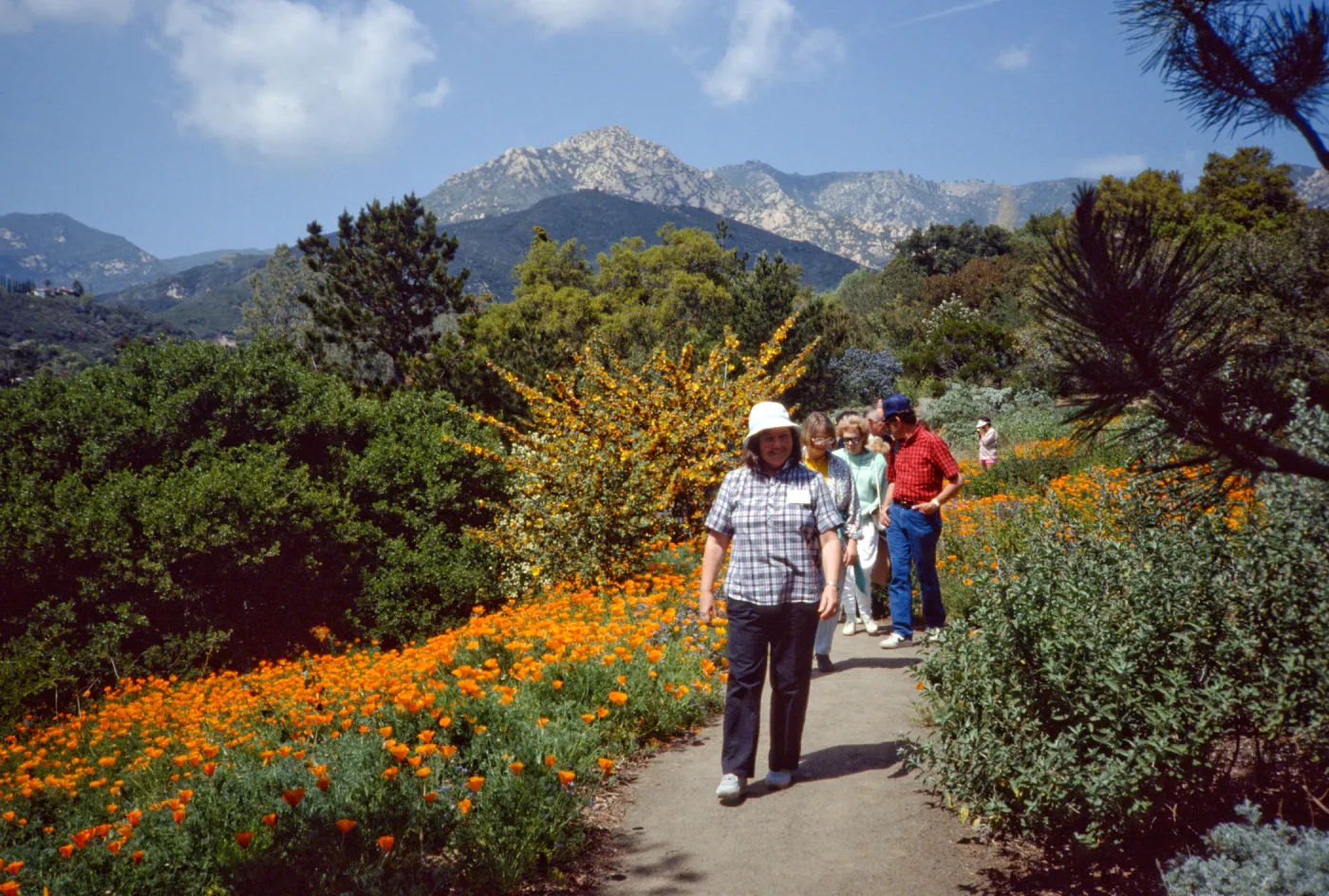 Poppies and People on the Porter Trail