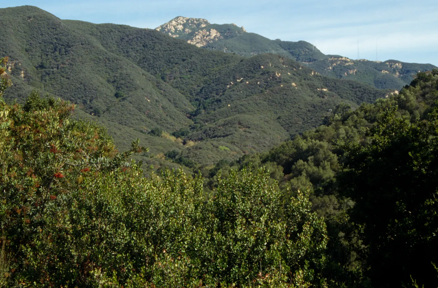 Santa Ynez Mountains from the Porter Trail