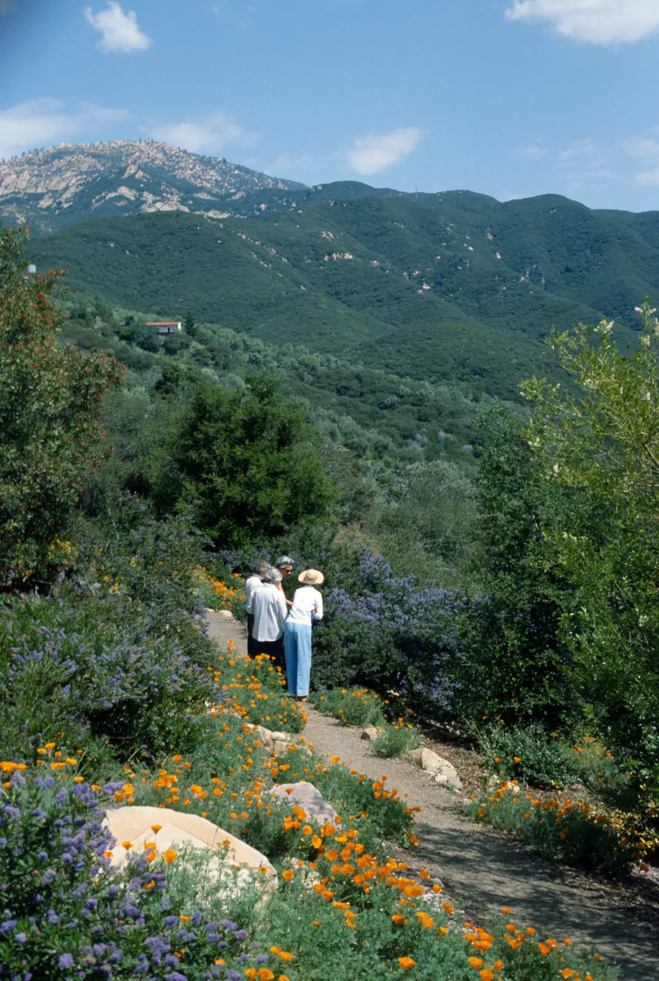 Spring on the Porter Trail