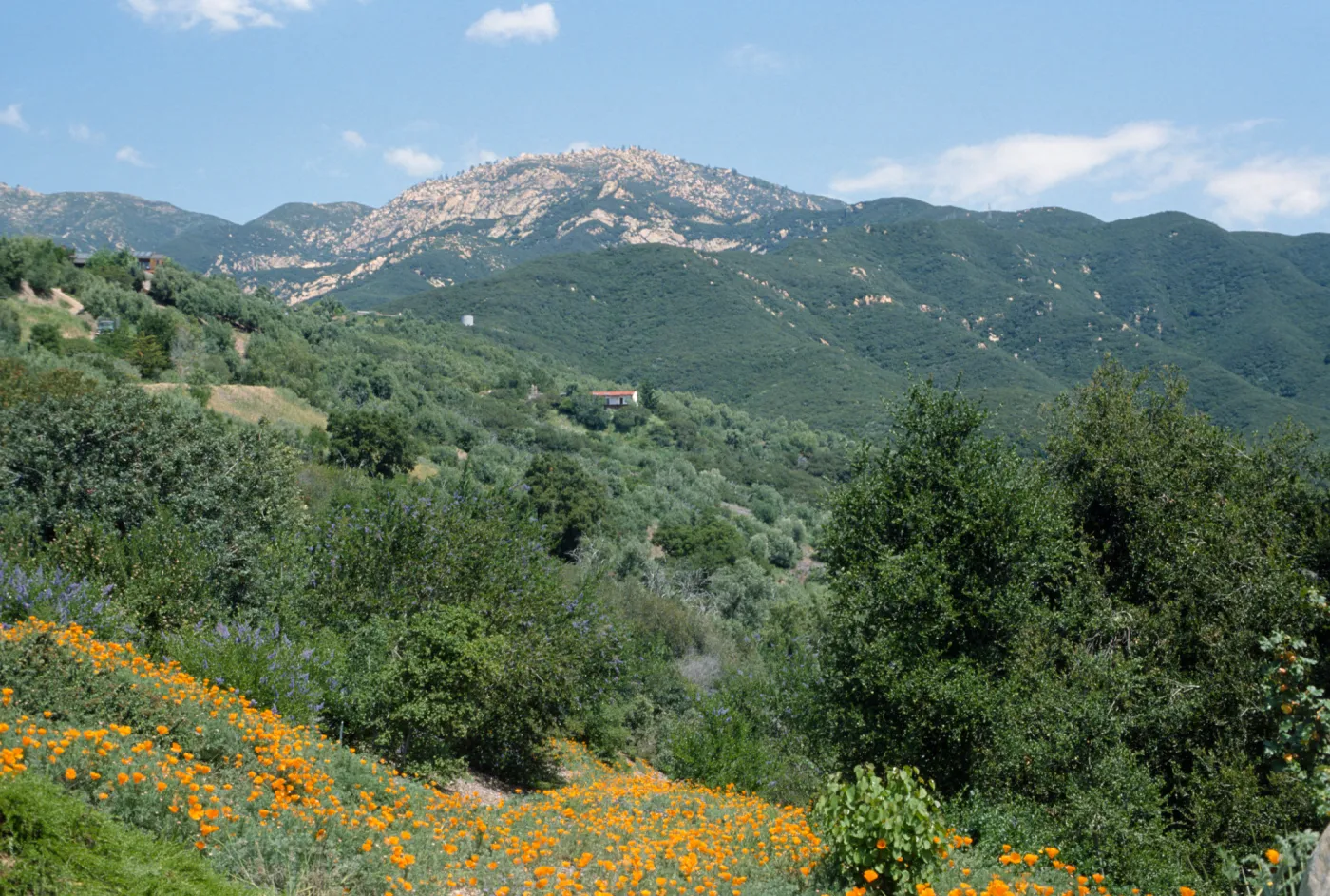 Porter Trail looking toward mountains