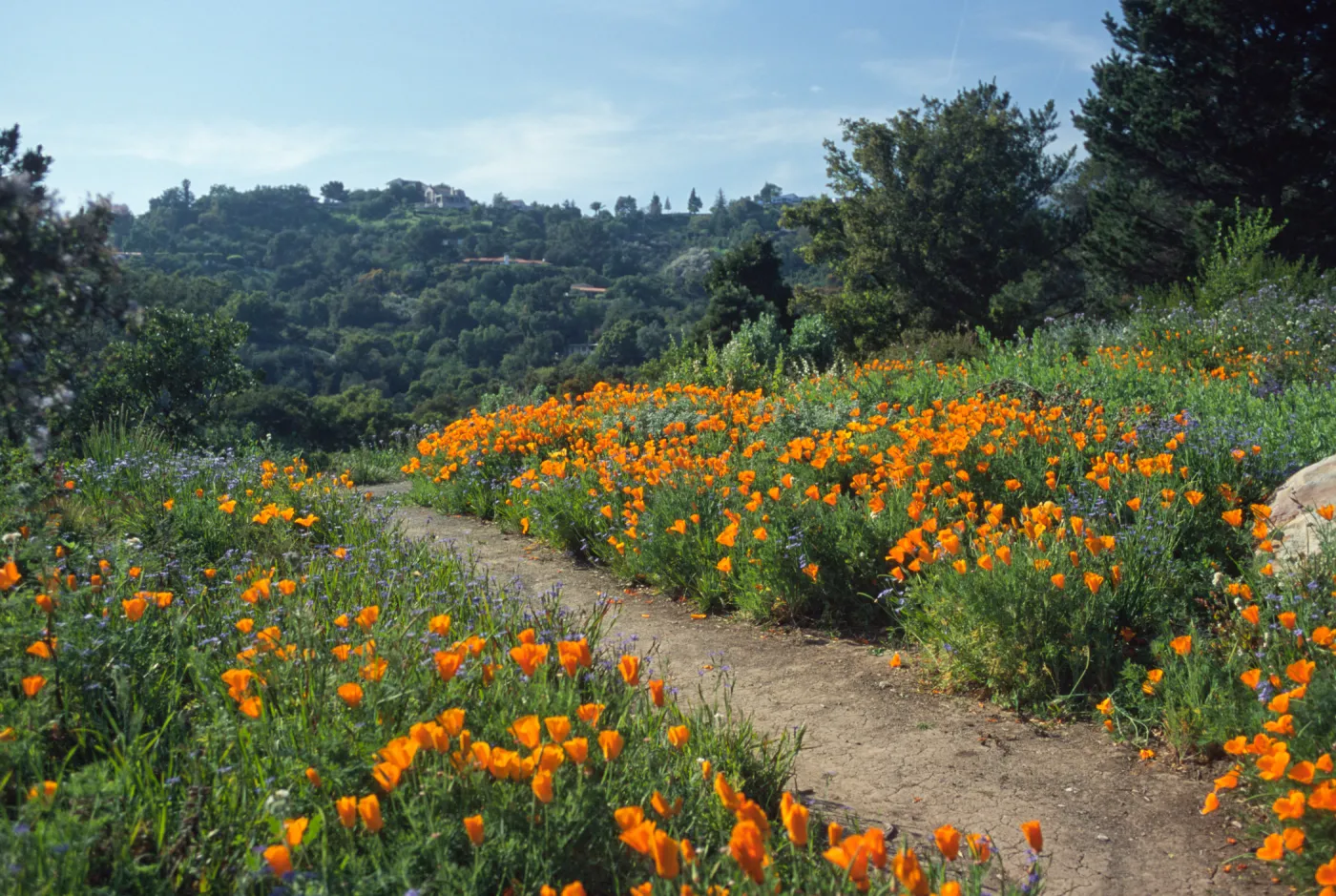 Spring on the Porter Trail