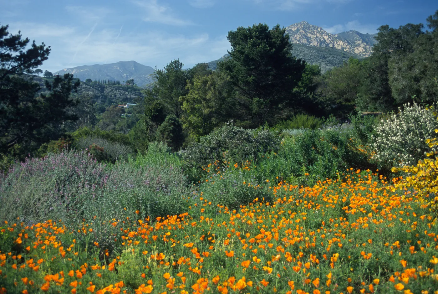 Spring on the Porter Trail