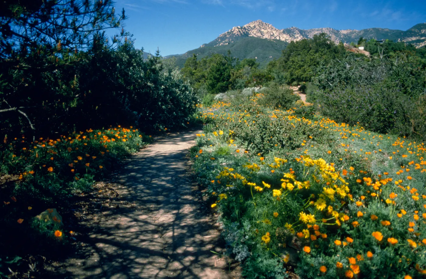 Spring on the Porter Trail