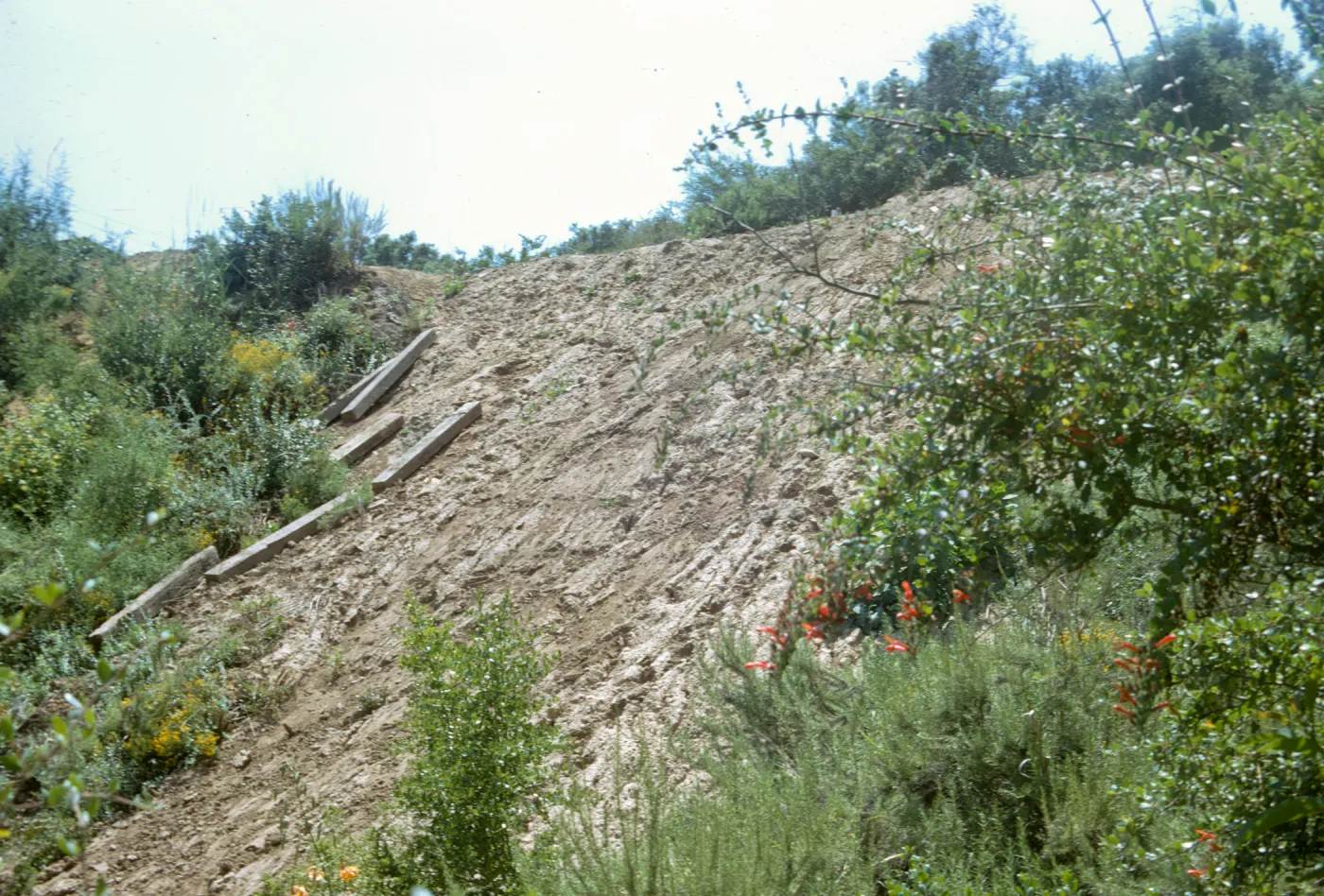 Pritchett Trail Washout