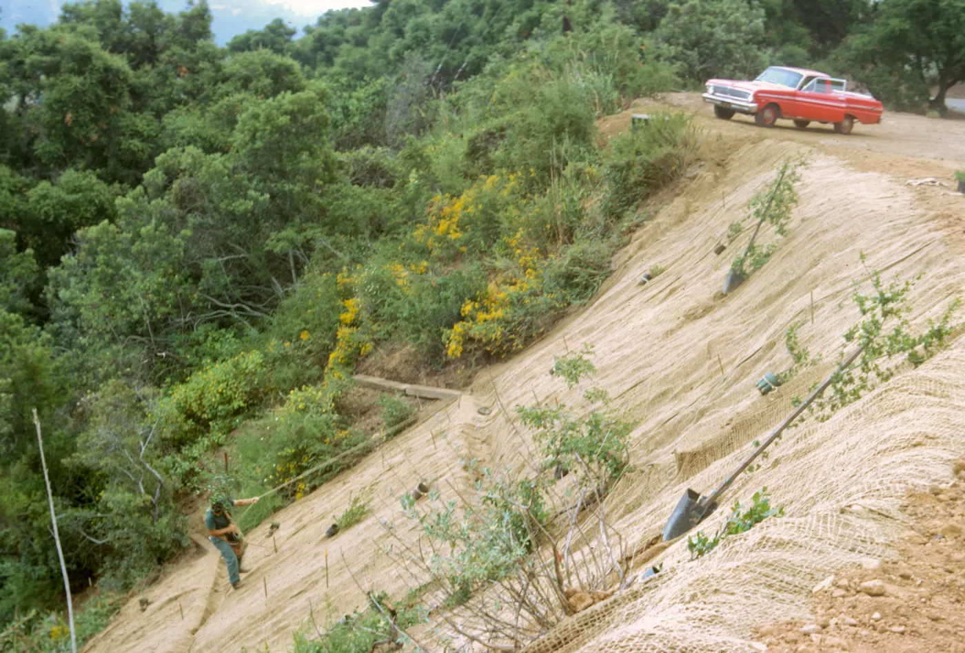 Pritchett Trail Washout, jute rolled out on slope for soil retention