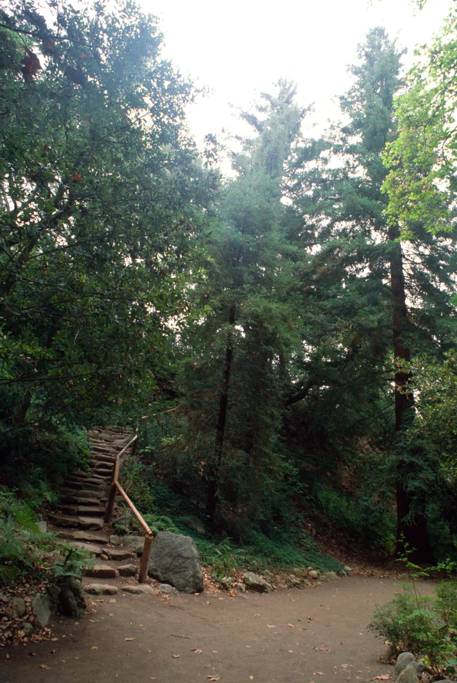 Indian Steps in Redwood Section