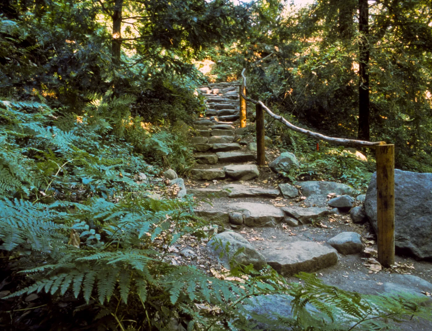 The Indian Steps