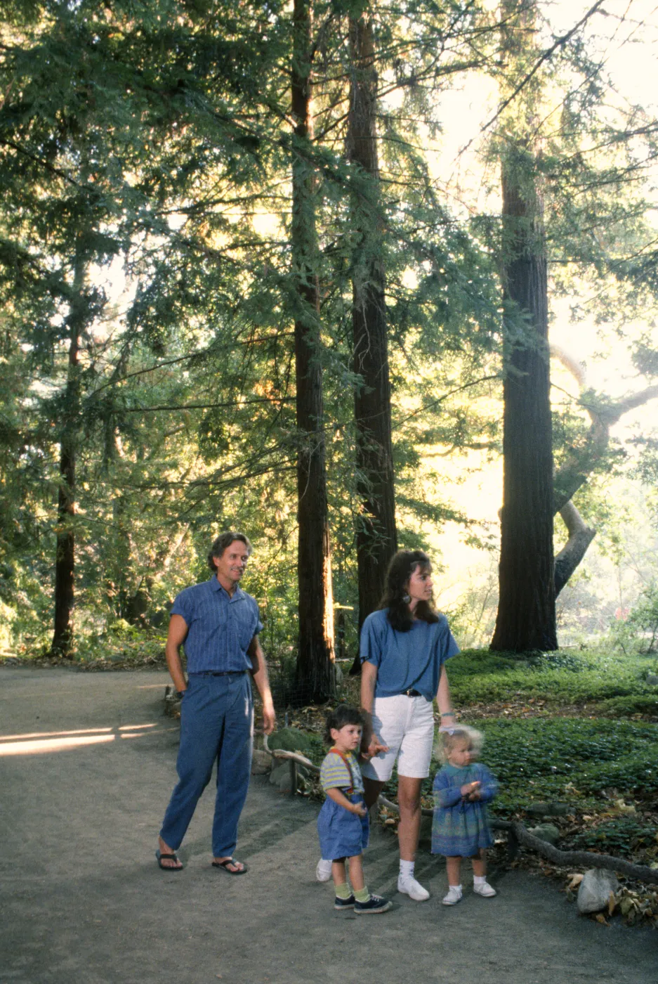 Photo Shoot Redwood section