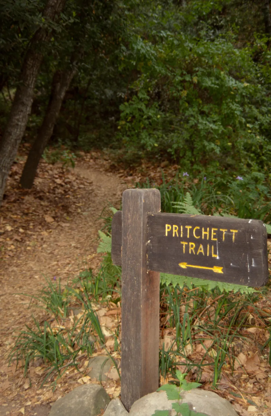 directional wood sign to Pritchett Trail