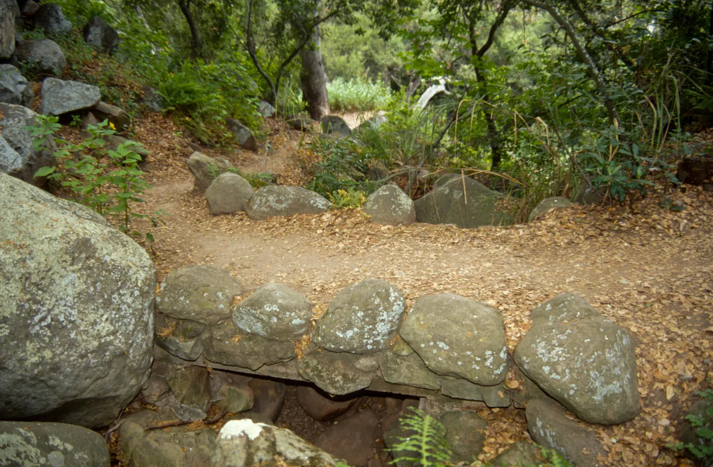 foot bridge on the Pritchett Trail
