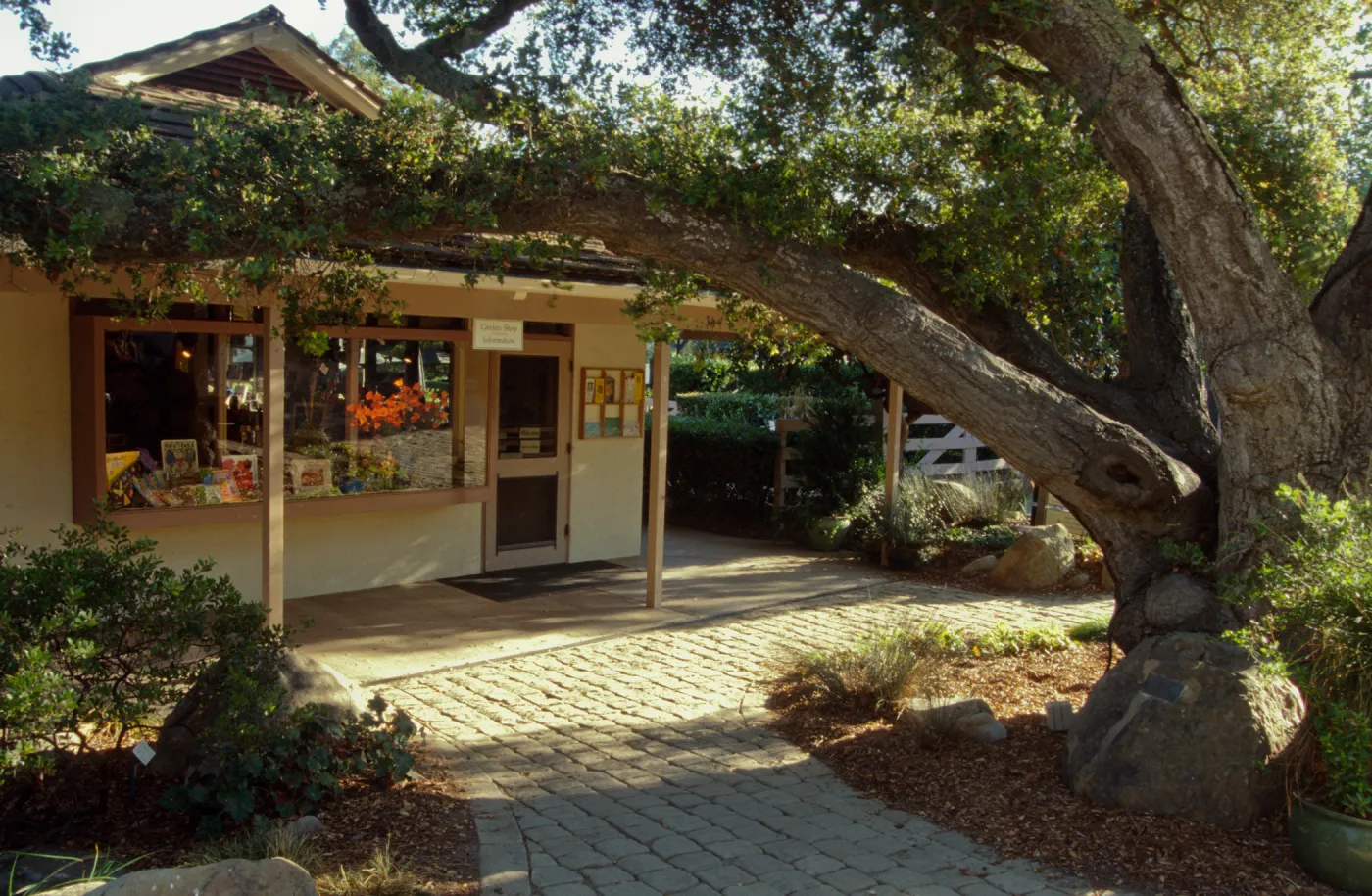 Entrance to garden gift shop, Entrance Oak (Coastal Live Oak), ï¿½ Marie Gayeski