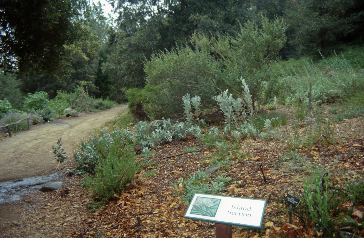 Island Section and path