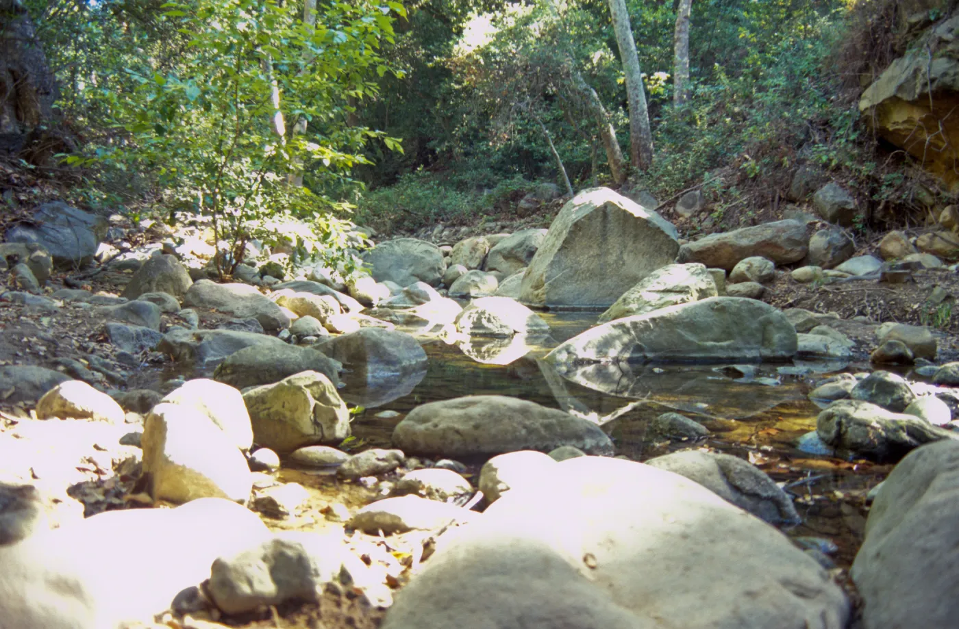 Mission Creek
