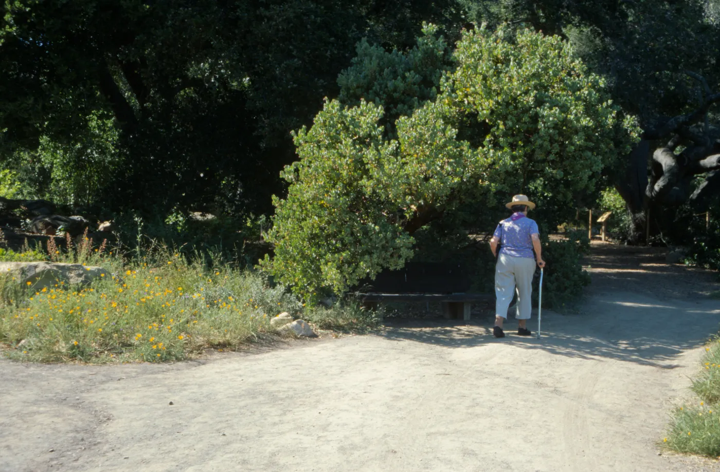 visitor walking along the Meadow into the Meadow Oaks