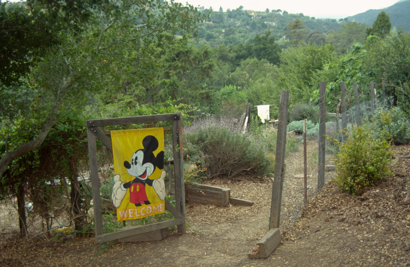Children's Garden at SBBG