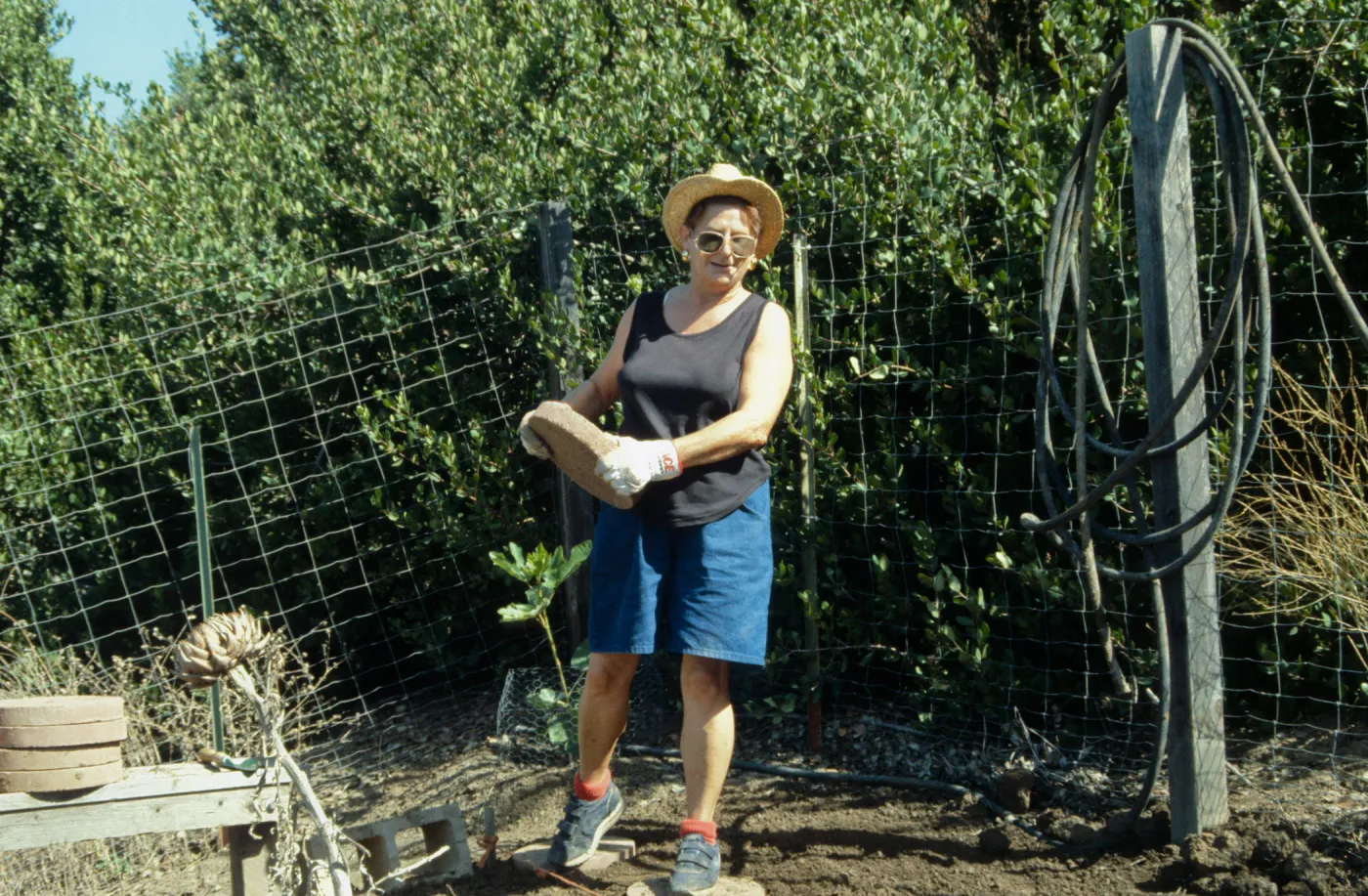 Children's Garden