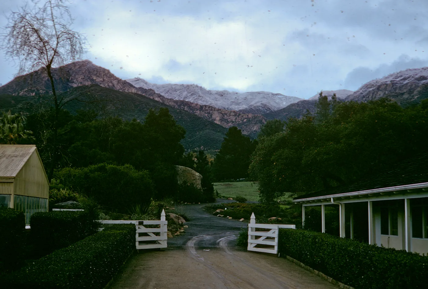 Garden from Library steps, snow on Santa Ynez