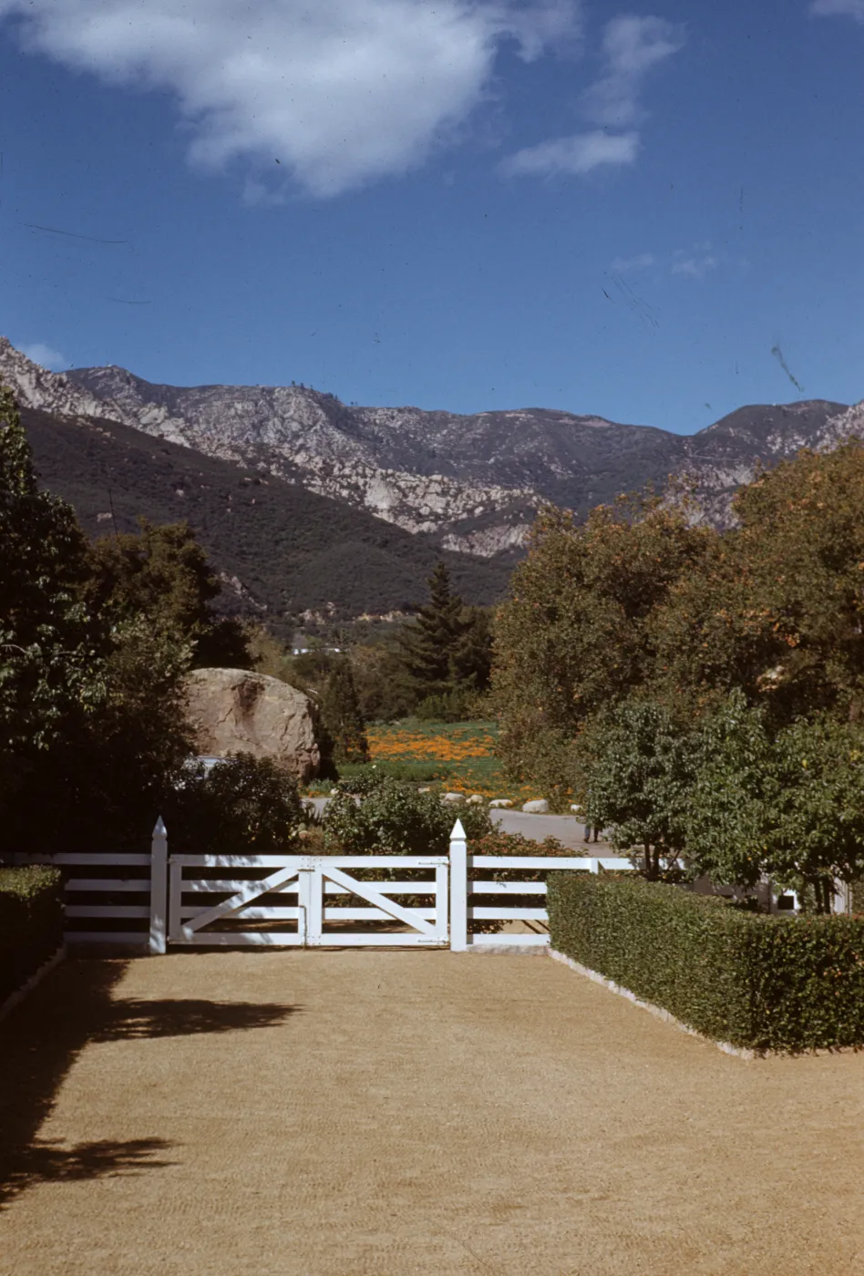 Meadow from Library Steps